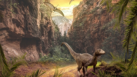 Dino