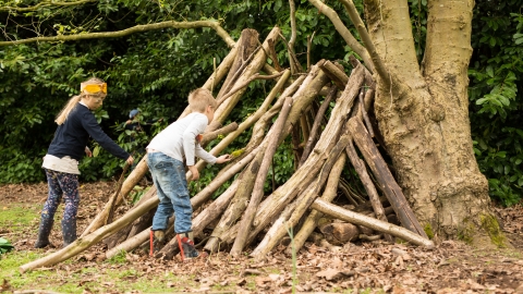 Den building