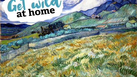 Art webinar