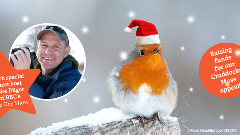 Christmas quiz