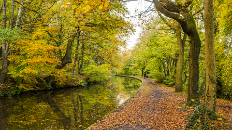 Autumnal colours along the Trent and Mersey Canal near Hopwas, November 2020 © Steven Cheshire, Transforming the Trent Valley 2020