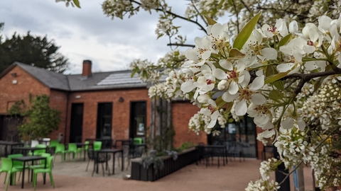 The Wolseley Centre in spring