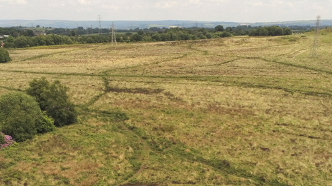 Wetley moor common - @TomEllisPhotography