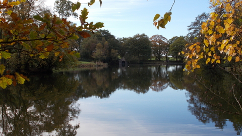 Biddulph grange