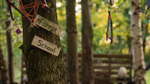 A rustic sign fixed to a tree trunk reads forest school
