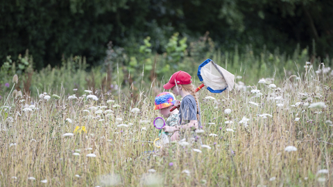 Two children in brightly coloured caps carry a large net as they hunt bugs in a meadow full of long grass