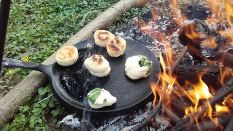 campfire cooking