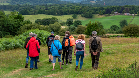 A group of people walk in a rural green area with woodland in the distance