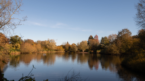 A still calm lake reflecting a clear blue sky bordered by trees showing golden autumnal colours