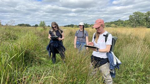 Three woman stand in a field of long grass with clipboards, two wear caps and the sky is blue with wispy clouds and trees in the distance