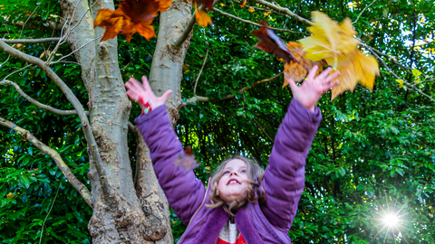 Autumn leaves fun day November 2023