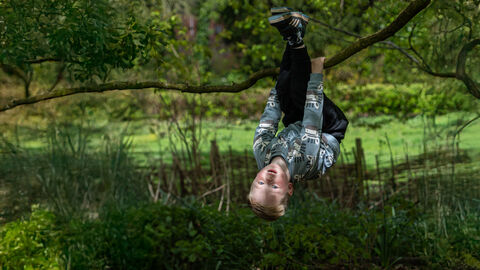 Boy swinging from tree Easter 2025