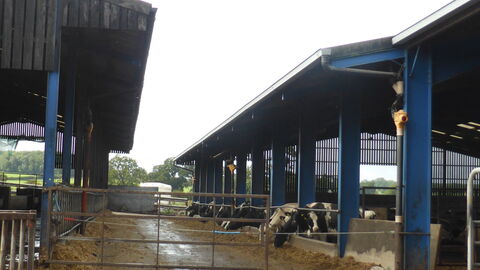 Rainwater harvesting