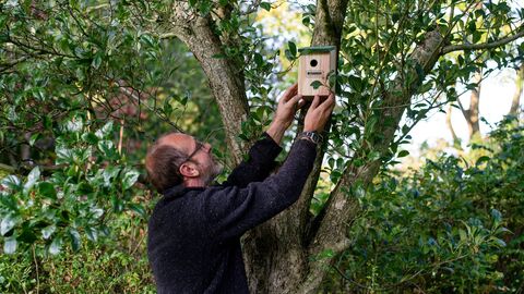A man in a long sleeved top careful positions a bird box in a small tree.
