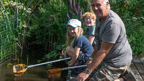 Pond dipping Playday 2025