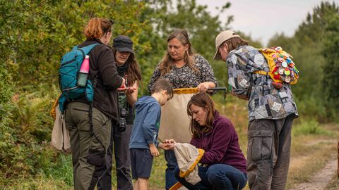 A group of adults and a child stand in a nature reserve with sweep nets examining bugs