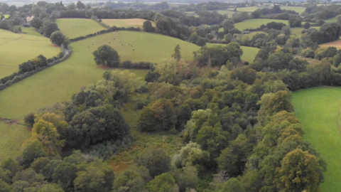 A green landscape of farm fields and woodland from above