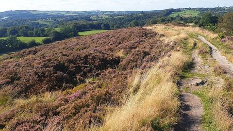 A path running along the top of a hill with heather on the hillside and a green valley in the distance