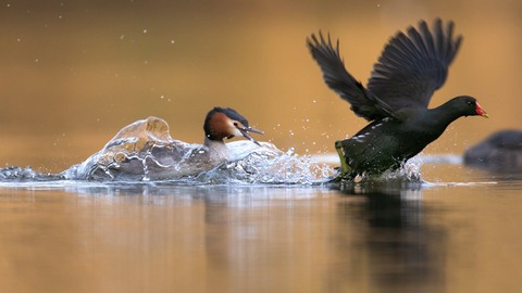 Jon Hawkins - Surrey Hills Photography