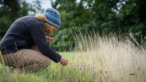 A woman crouches in a meadow and inspects something in her hand. There are trees behind her. She wears beige casual trousers and a dark top, plus a woollen hat.