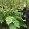 Man stood next to a very large/tall fern in a forest