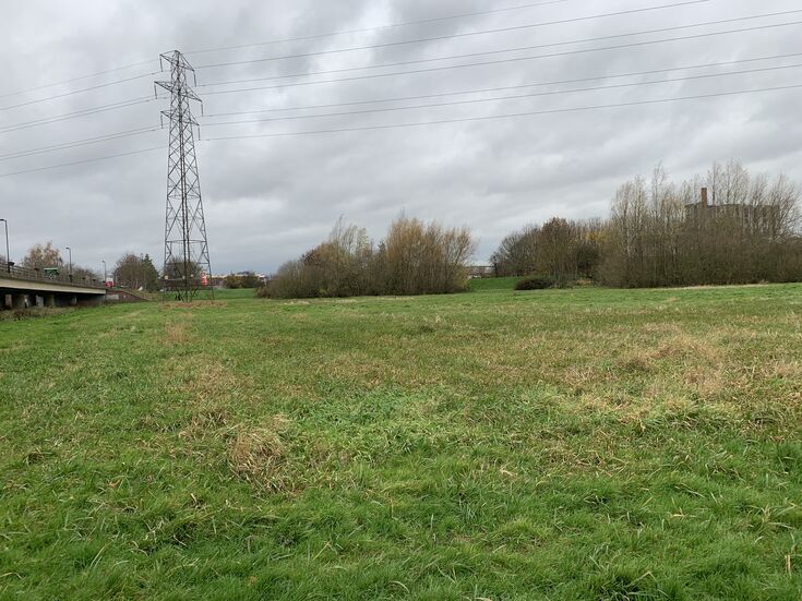 Crucial Conservation for areas in the Stafford Brooks project ...