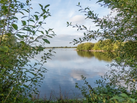 Croxall Lakes Nature Reserve - Lakeside view