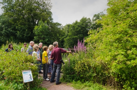 Events at Wolseley