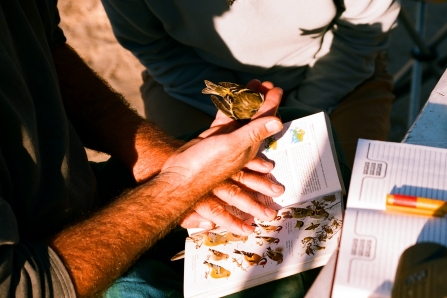 Surveying at Staffordshire Wildlife Trust