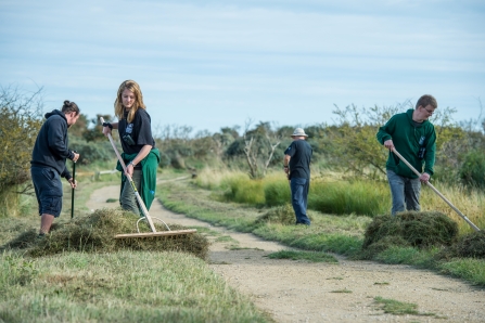 Volunteering - adults 