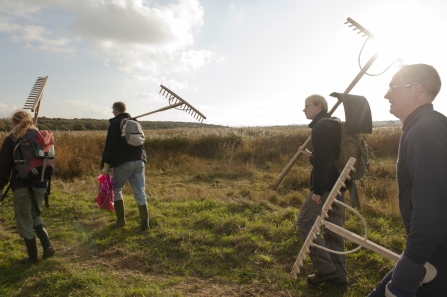 HIghgate Common Volunteering