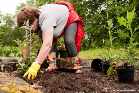 Gardening for wildlife