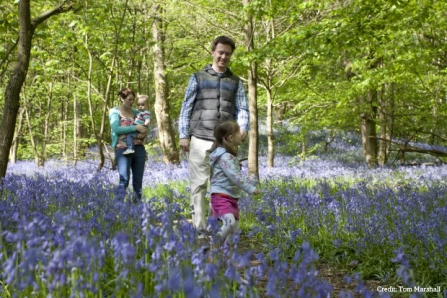 Family in woodland