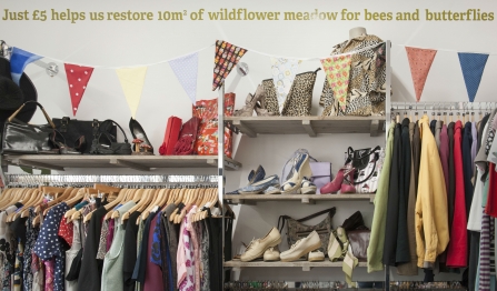 Charity shop volunteer