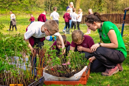 Education work - tree planting 