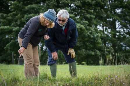 Surveying local wildlife sites