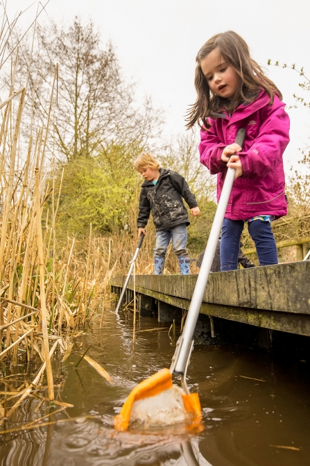 Pond dipping