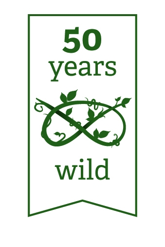 50th logo