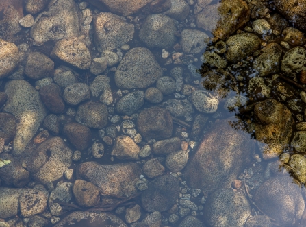River restoration