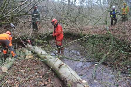 Nature's Flood Defence