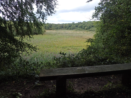 Loynton Moss nature reserve