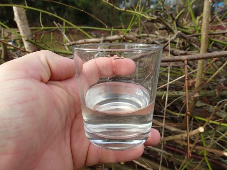 Fresh birch sap