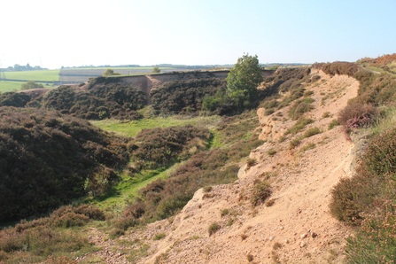 Gentleshaw Common 2018 