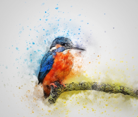 Kingfisher artwork