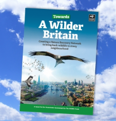 Wilder Britian report