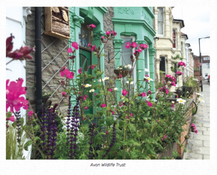 Greener houses