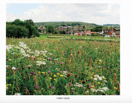 Green public space