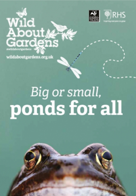 Wild for ponds