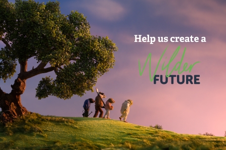 Wilder Future banner