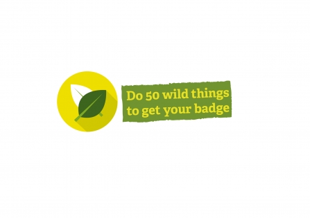 Badge header